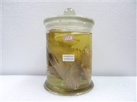藏品(橫帶髭鯛)的圖片